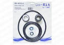 Aladdin - GO-Kit 14 for Jacuzzi Magnum Pump