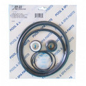 Aladdin - GO-Kit 22 for Pac Fab Hydropump