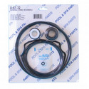 Aladdin - GO-Kit 32 for Purex Whisperflo/Intelliflo