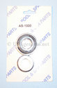 Aladdin - PSR Seal #1000
