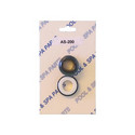 Aladdin - PSR Seal #200V