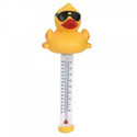 Game - Pool and Spa Thermometer - Derby Duck - Item #7000