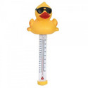Game - Pool and Spa Thermometer - Derby Duck - Item #5911